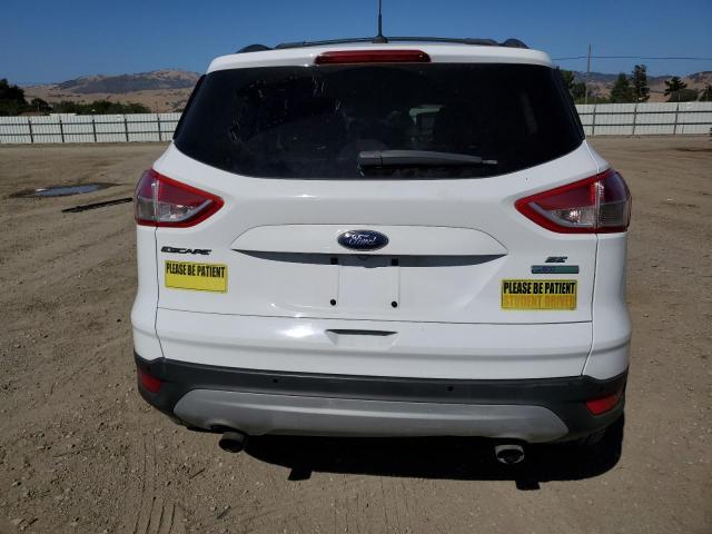 2014 FORD ESCAPE SE - 1FMCU0GX5EUA21460