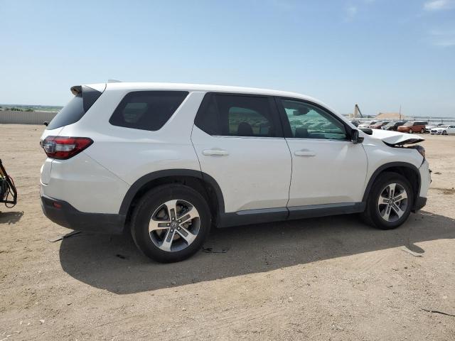 2024 HONDA PILOT EXL - 5FNYG1H49RB041351