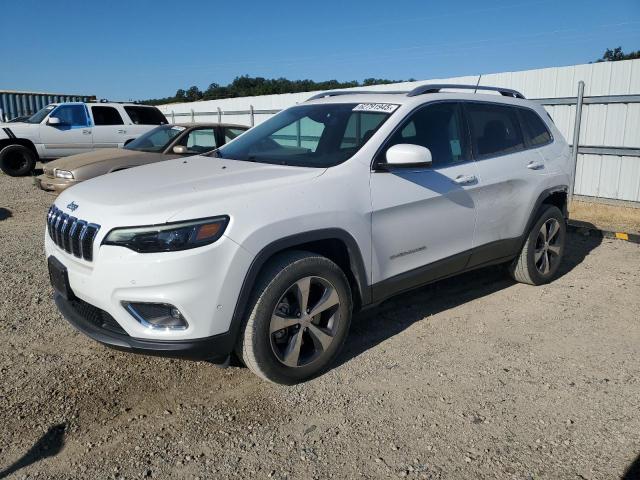 2019 JEEP CHEROKEE L - 1C4PJMDNXKD178809