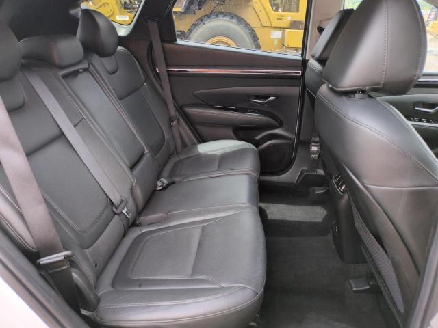 2023 HYUNDAI TUSCON 5NMJECAE7PH235538