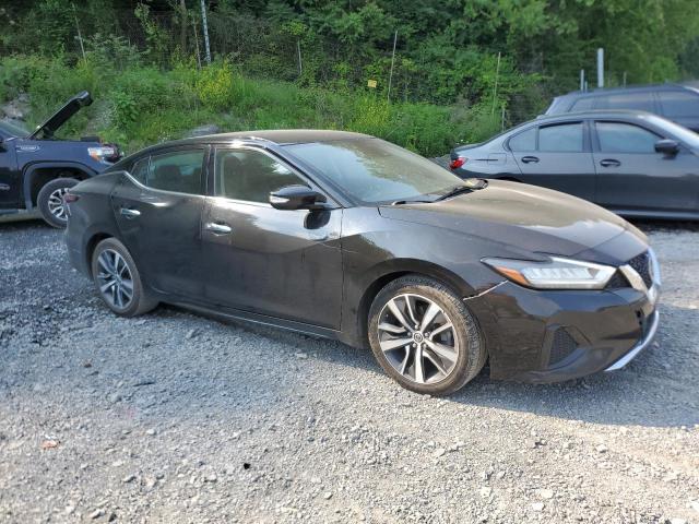 2020 NISSAN MAXIMA SV 1N4AA6CV5LC365679
