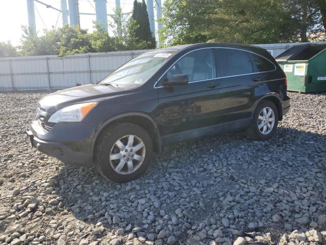 HONDA CR-V EXL