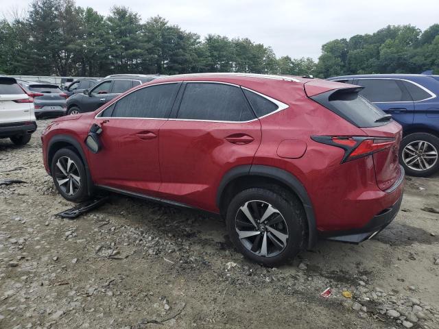 2021 LEXUS NX 300 BAS JTJGARDZ3M5029913