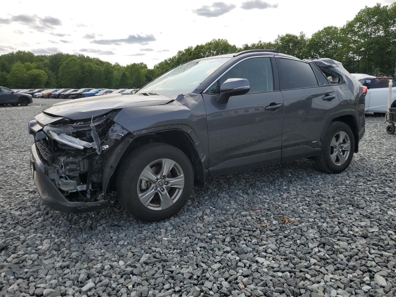 TOYOTA RAV4 XLE