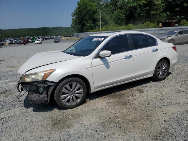 Vin: 1hgcp3f80ca000300, lot: 59462615, honda accord exl 2012 img_1