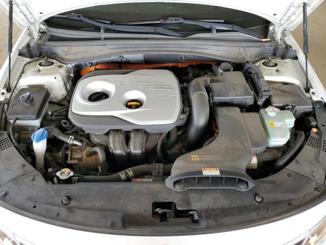 2019 KIA OPTIMA PLU KNAGV4LD8K5031988