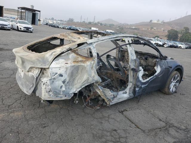 2024 TESLA MODEL Y 7SAYGDEE0RF021569