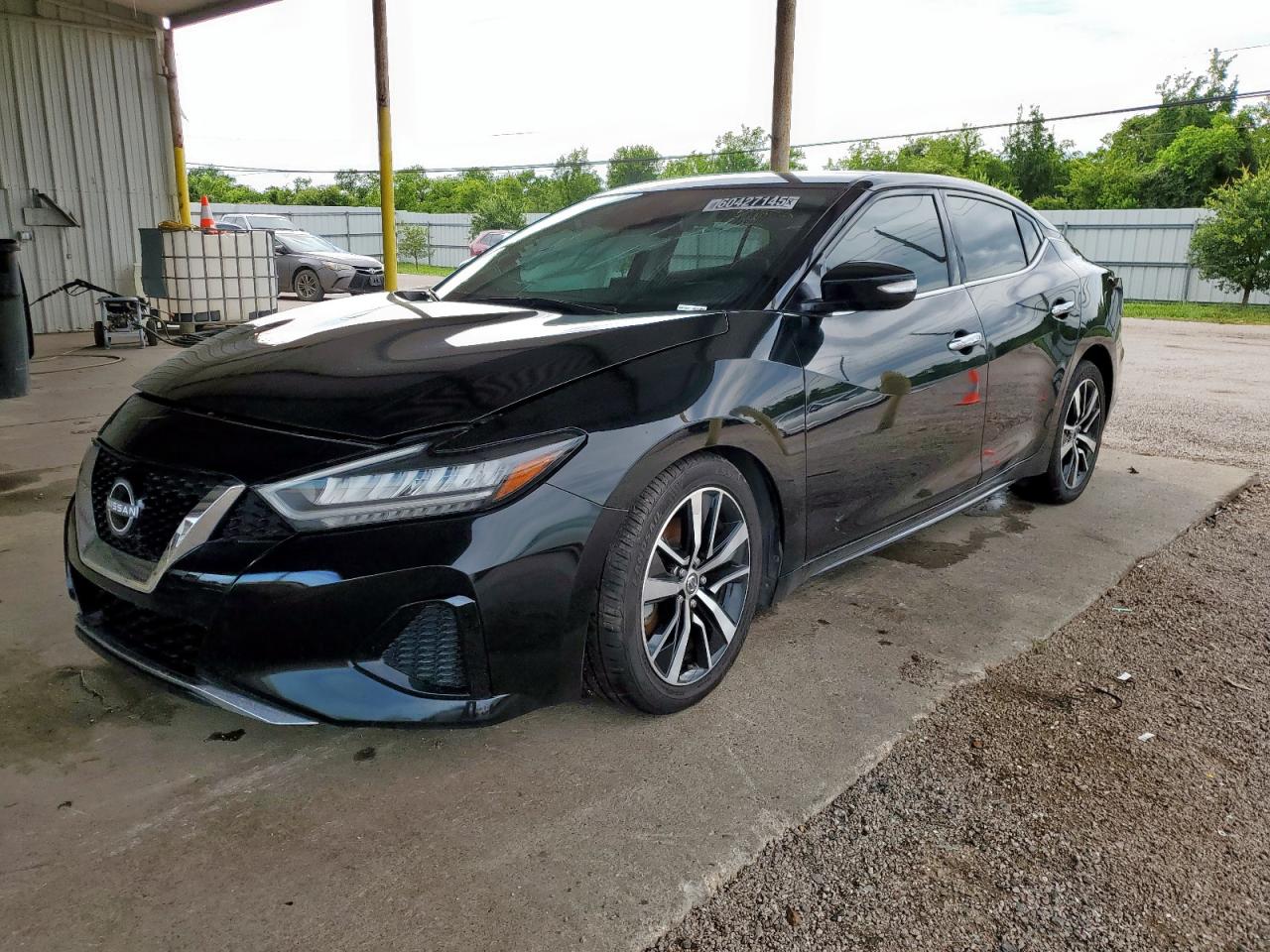 NISSAN MAXIMA SV