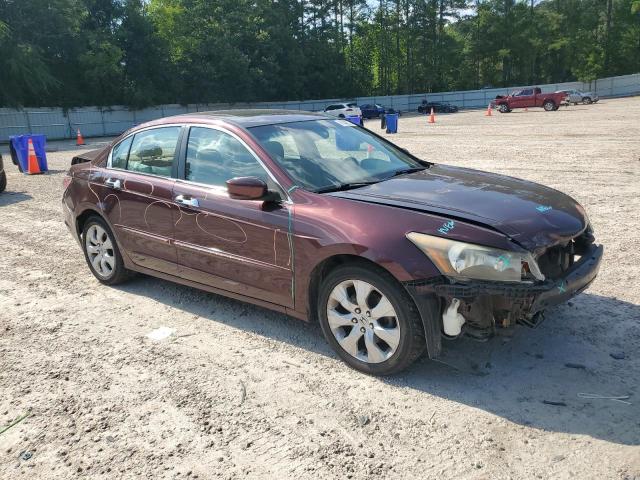 Vin: 5kbcp3f83ab016351, lot: 61448775, honda accord exl 20104