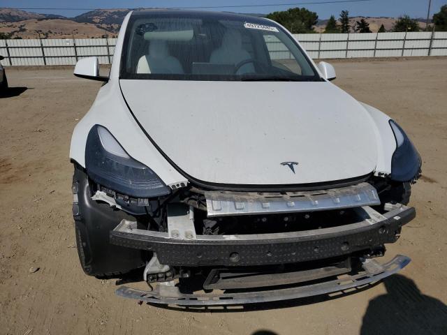 2023 TESLA MODEL Y - 7SAYGDEE8PA168524