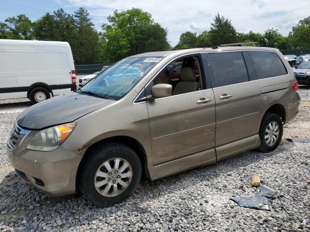 Vin: 5fnrl3h47ab005755, lot: 59584305, honda all models ex 2010 img_1