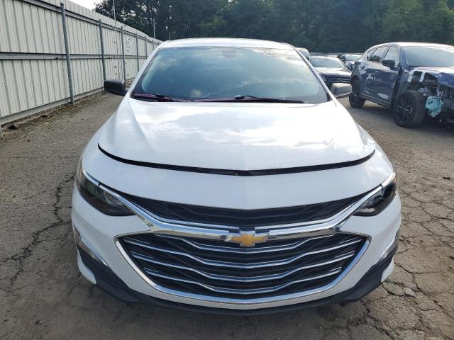 2019 CHEVROLET MALIBU LS 1G1ZB5ST9KF216041