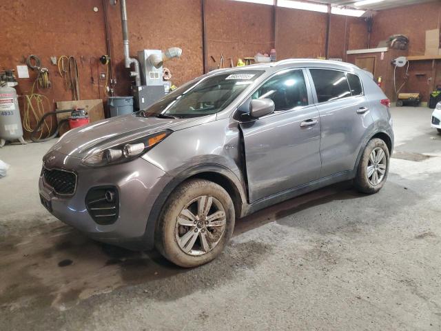 Vin: kndpmcac7h7031696, lot: 59599085, kia sportage lx 2017 img_1