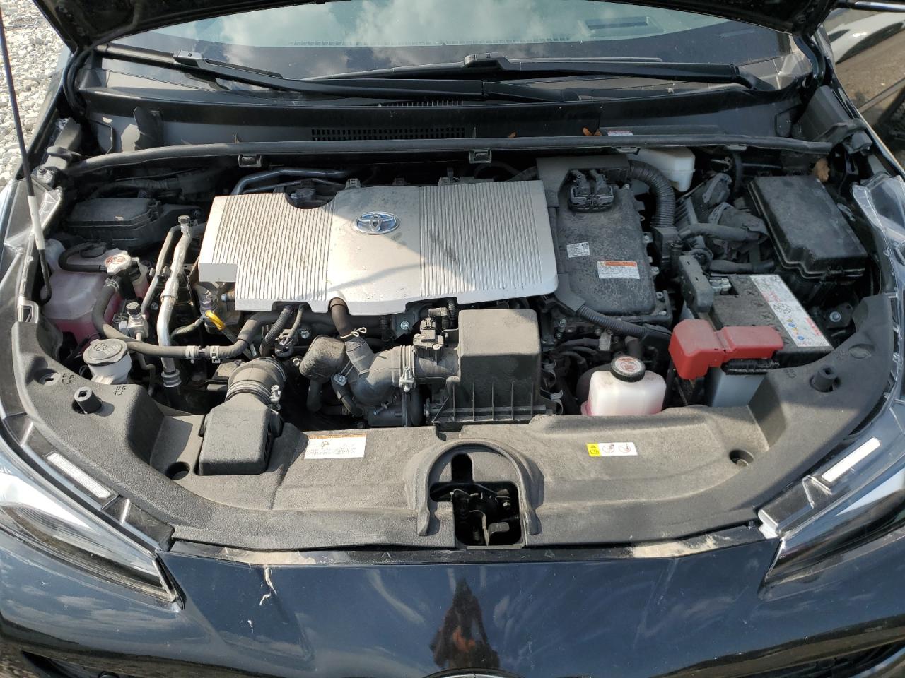 TOYOTA PRIUS NIGHT SHADE