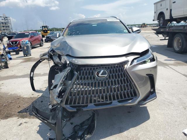2025 LEXUS NX 250 PRE 2T2GDCAZ3SC022077