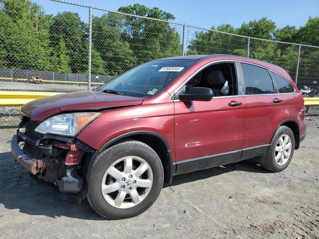 HONDA CR-V EX