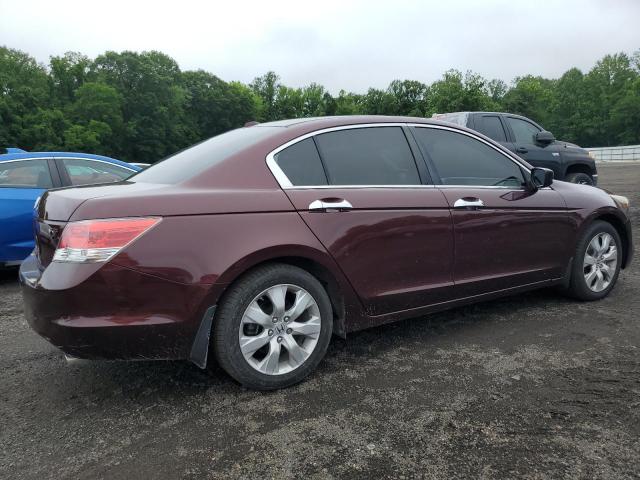 Vin: 5kbcp3f84ab011160, lot: 60649335, honda accord exl 20103