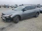 2020 NISSAN MAXIMA SV - 1N4AA6CV2LC377109