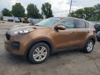 Top Destinations for Shipping Cars from the USA