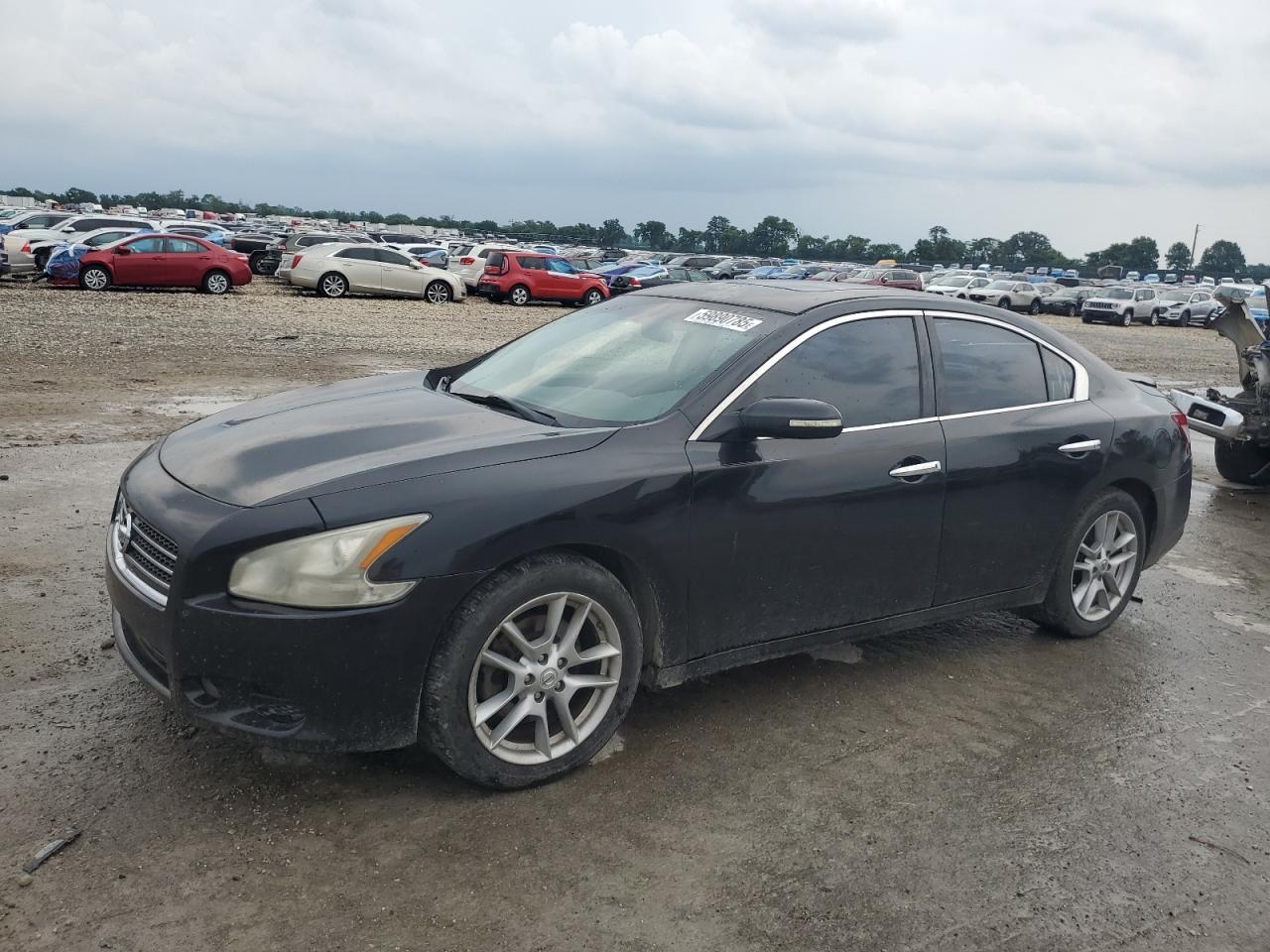 NISSAN MAXIMA S
