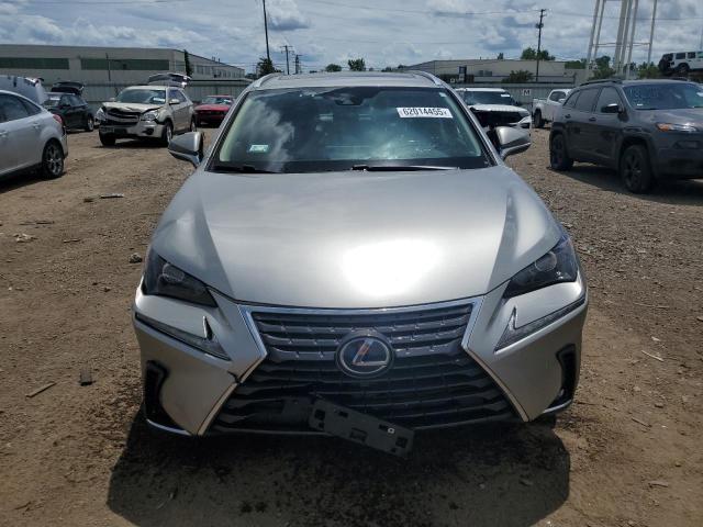 2021 LEXUS NX 300H BA JTJDJRDZ2M2161520