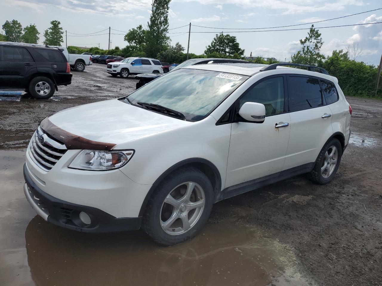SUBARU TRIBECA LIMITED