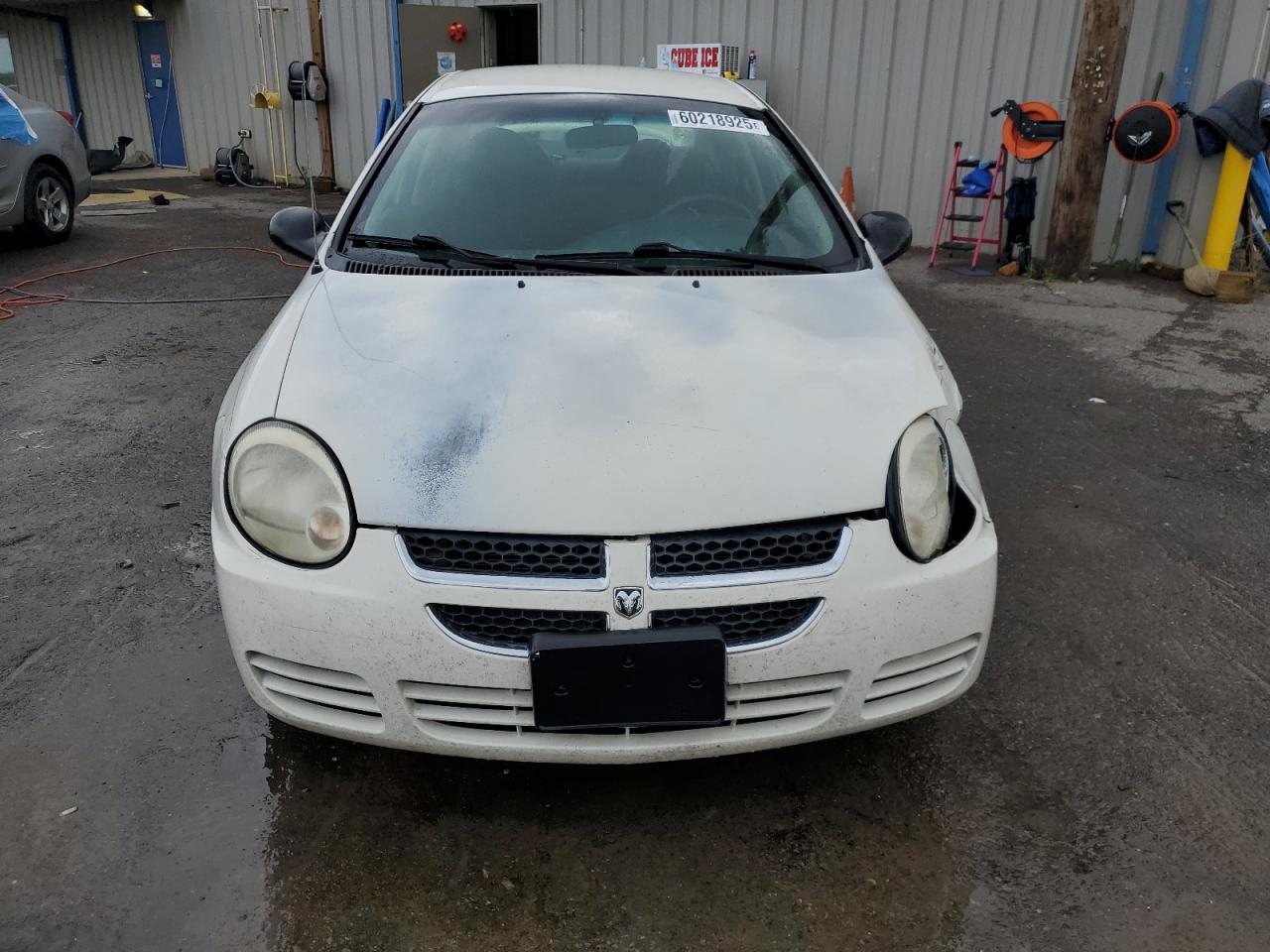 Lot #3302790901 2004 DODGE NEON BASE