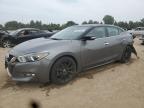 2017 NISSAN MAXIMA 3.5 - 1N4AA6AP7HC429099