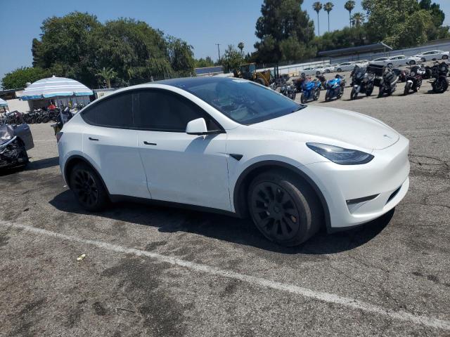 2021 TESLA MODEL Y 5YJYGDEE4MF301453