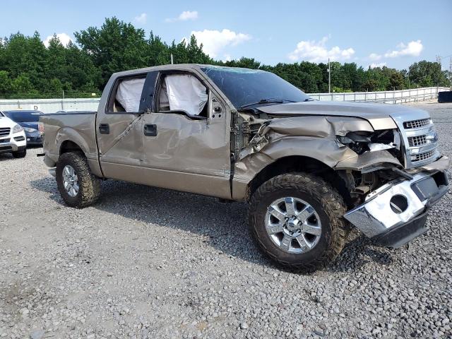 Vin: 1ftfw1cf2dfd76152, lot: 57843285, ford f-150 supercrew 20134