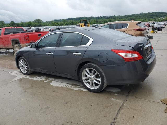 Vin: 1n4aa5ap4ac871063, lot: 60841535, nissan maxima s 20102
