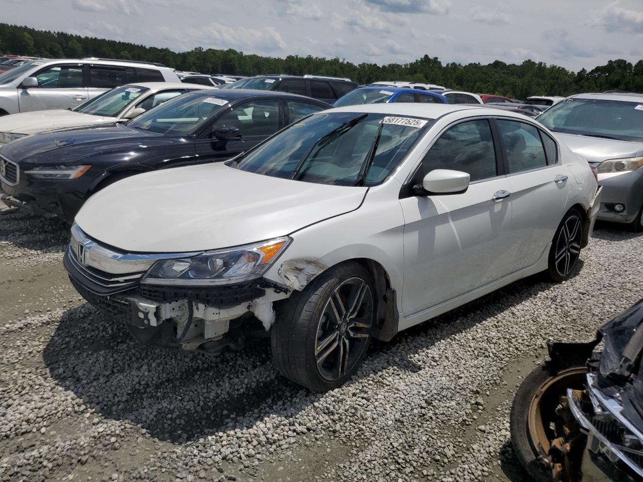 HONDA ACCORD SPORT
