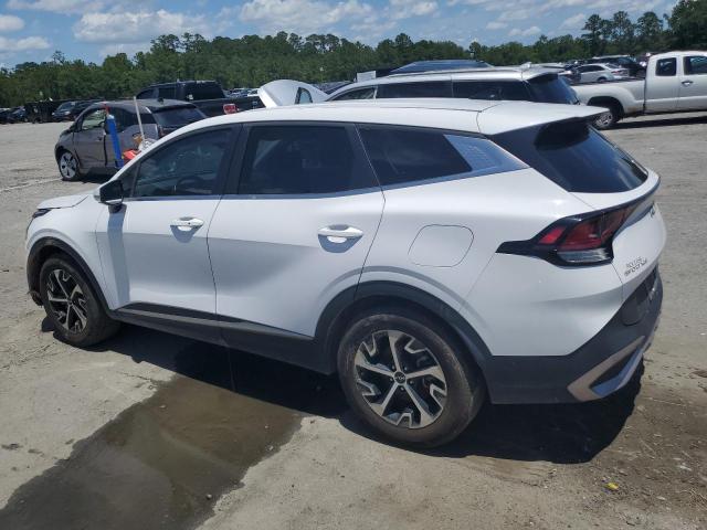 Vin: 5xyk33df1rg172187, lot: 60539005, kia sportage ex 20242