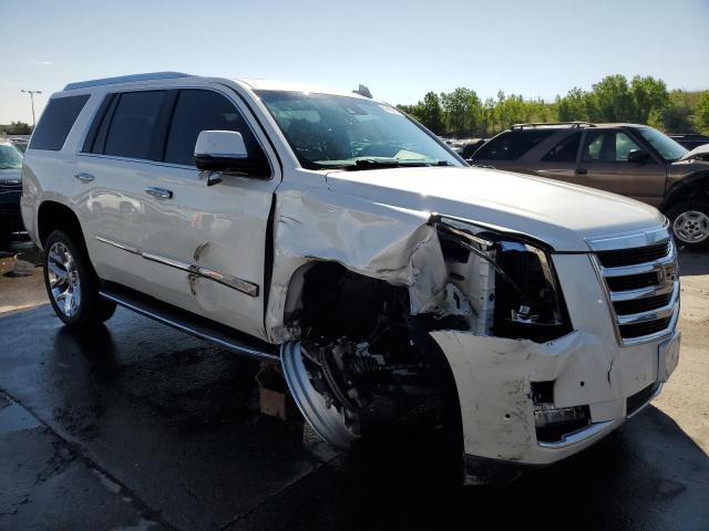 2019 CADILLAC ESCALADE P - 1GYS4CKJ7KR301331