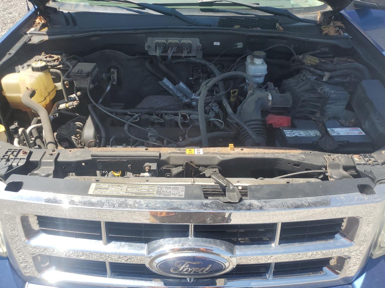 Lot #3301797378 2008 FORD ESCAPE XLT