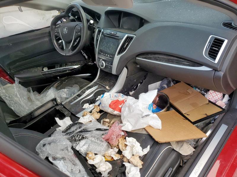 2019 ACURA TLX TECHNO 19UUB2F41KA003425