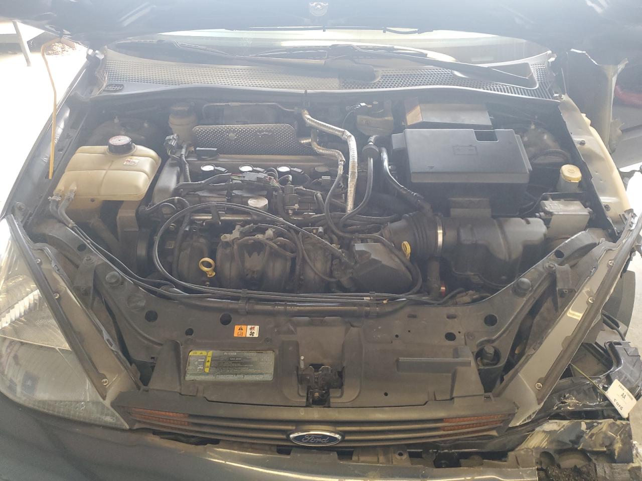 Lot #3284032870 2004 FORD FOCUS ZTS