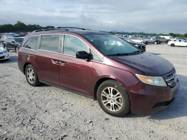 Vin: 5fnrl5h60db016369, lot: 61837335, honda all models exl 20134