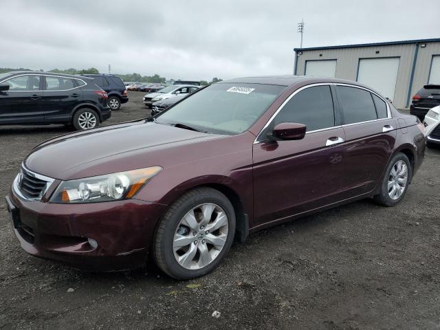 Vin: 5kbcp3f84ab011160, lot: 60649335, honda accord exl 2010 img_1