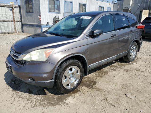 Vin: 5j6re3h3xal014202, lot: 62591285, honda crv lx 2010 img_1
