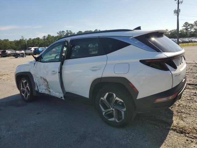 2024 HYUNDAI TUCSON SEL KM8JCCD17RU243757