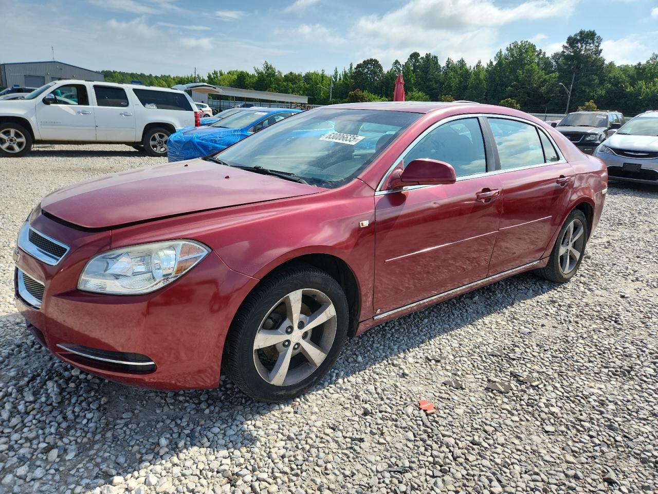 CHEVROLET MALIBU 1LT