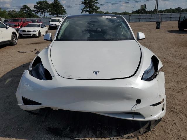 2024 TESLA MODEL Y 7SAYGDED4RF182725