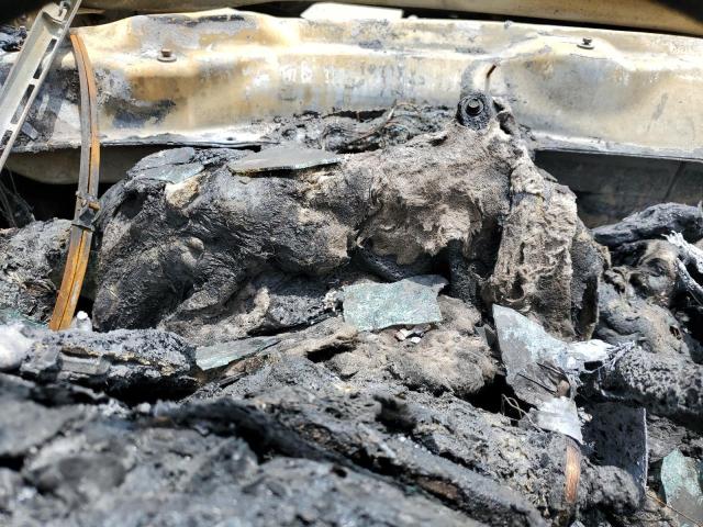 2019 GMC SIERRA K35 1GT42WEY3KF149547