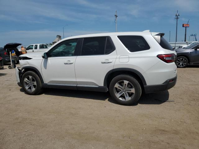 2024 HONDA PILOT EXL - 5FNYG1H49RB041351