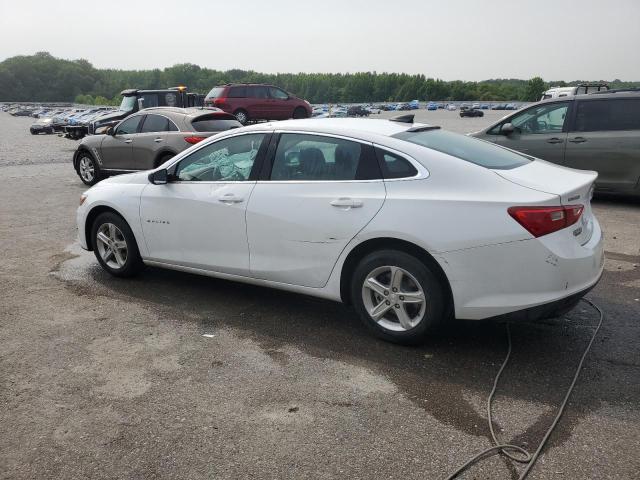 2023 CHEVROLET MALIBU LS - 1G1ZB5ST1PF251518