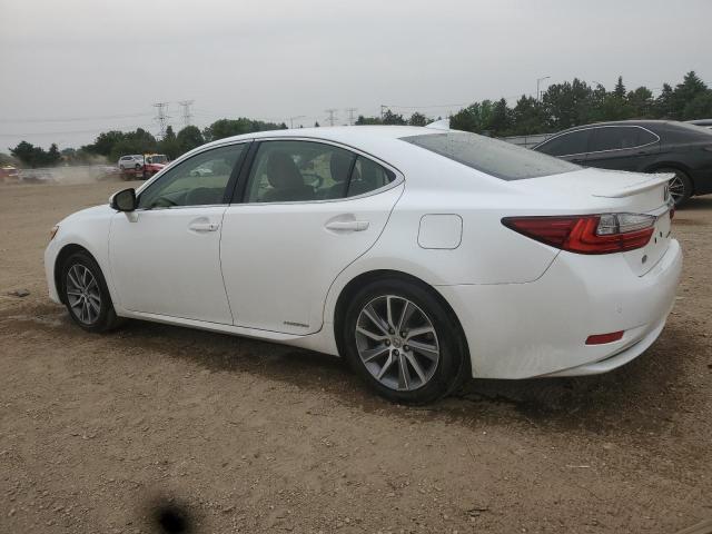 Vin: jthbw1gg6g2100990, lot: 60625875, lexus es300 300h 20162