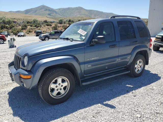 JEEP LIBERTY LI