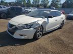 Top Destinations for Shipping Cars from the USA