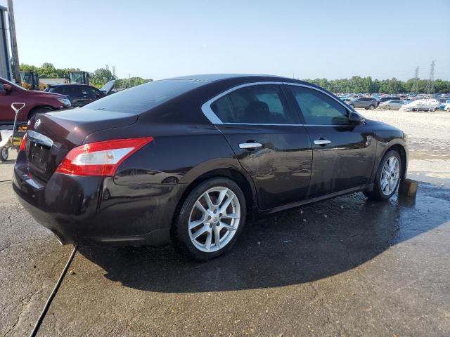 Vin: 1n4aa5ap4bc851512, lot: 61916695, nissan maxima s 20113